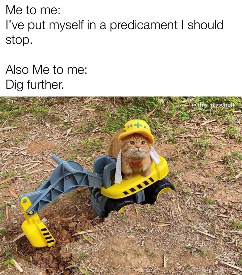 Me to me: I've put myself in a predicament I should stop. Also Me to me: Dig further. 安全 @the pizzacat