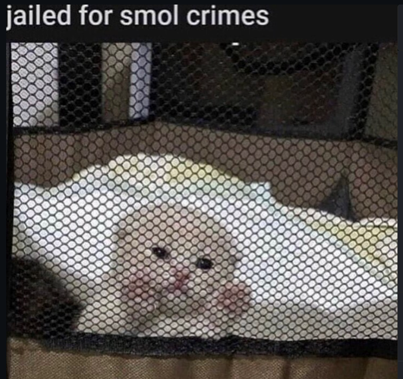 jailed for smol crimes