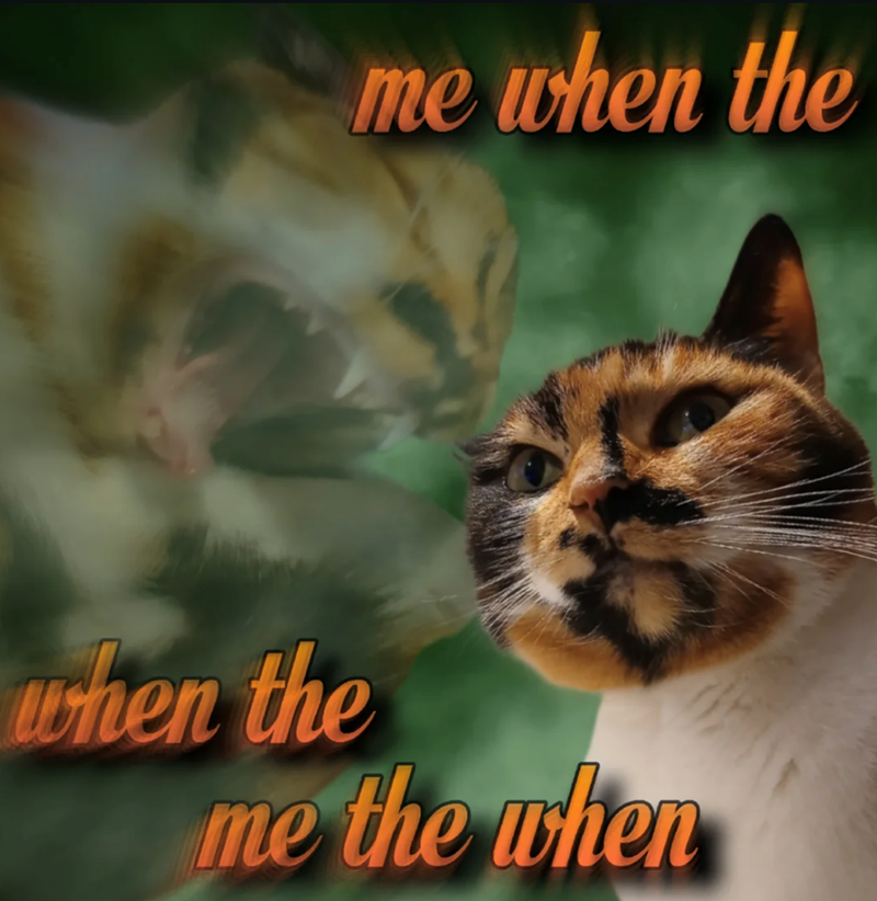 me when the when the me the when