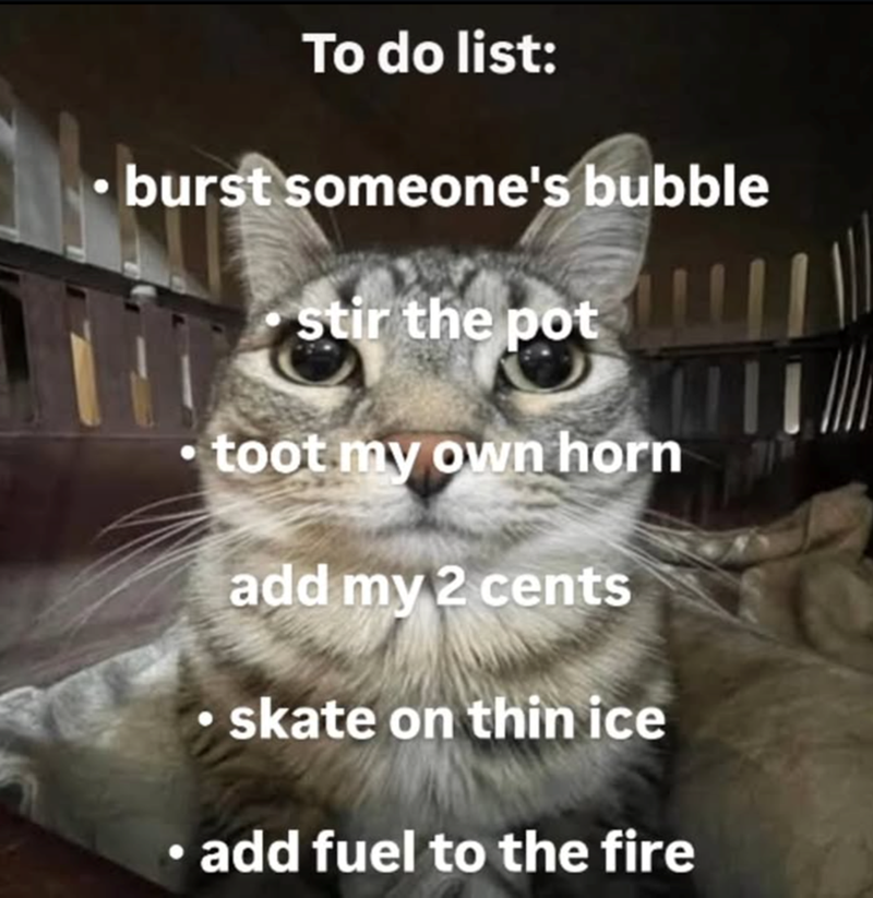 To do list: burst someone's bubble stir the pot toot my own horn add my 2 cents • skate on thin ice add fuel to the fire