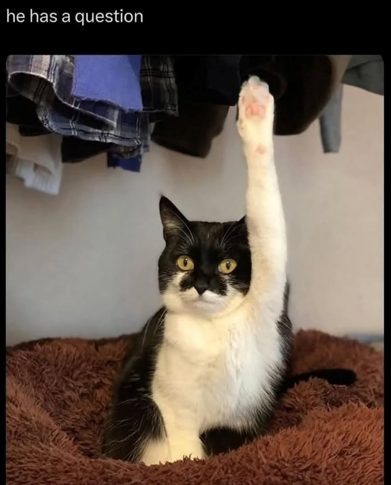 he has a question