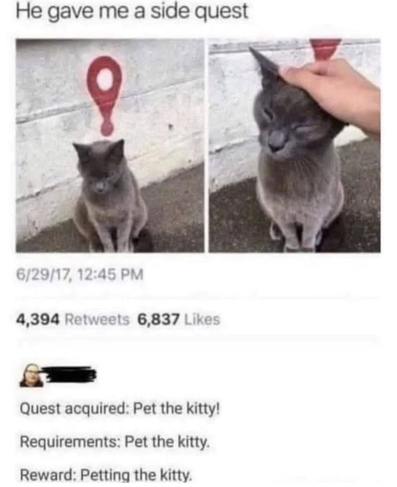 He gave me a side quest 6/29/17, 12:45 PM 4,394 Retweets 6,837 Likes Quest acquired: Pet the kitty! Requirements: Pet the kitty. Reward: Petting the kitty.