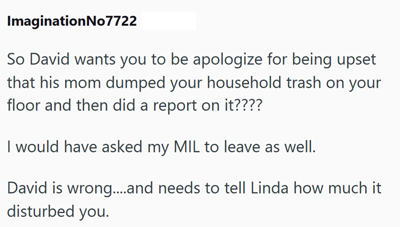 ImaginationNo7722 So David wants you to be apologize for being upset that his mom dumped your household trash on your floor and then did a report on it???? I would have asked my MIL to leave as well. David is wrong....and needs to tell Linda how much it disturbed you.
