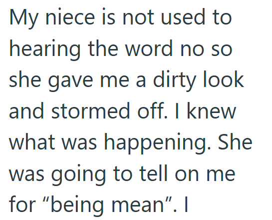 My niece is not used to hearing the word no so she gave me a dirty look and stormed off. I knew what was happening. She was going to tell on me for "being mean". I