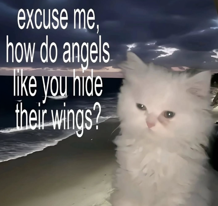 excuse me, how do angels like you hide their wings?