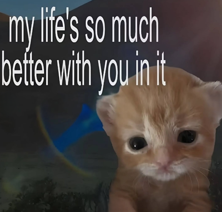 my life's so much better with you in it