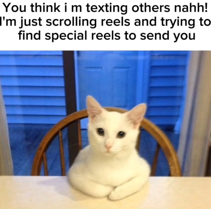 You think i m texting others nahh! I'm just scrolling reels and trying to find special reels to send you