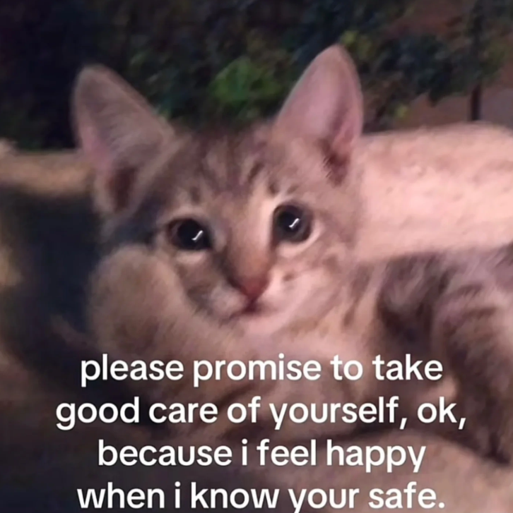please promise to take good care of yourself, ok, because i feel happy when i know your safe.