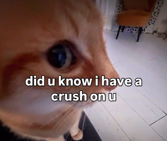 did u know i have a crush on u