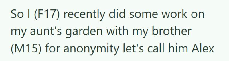 So I (F17) recently did some work on my aunt's garden with my brother (M15) for anonymity let's call him Alex