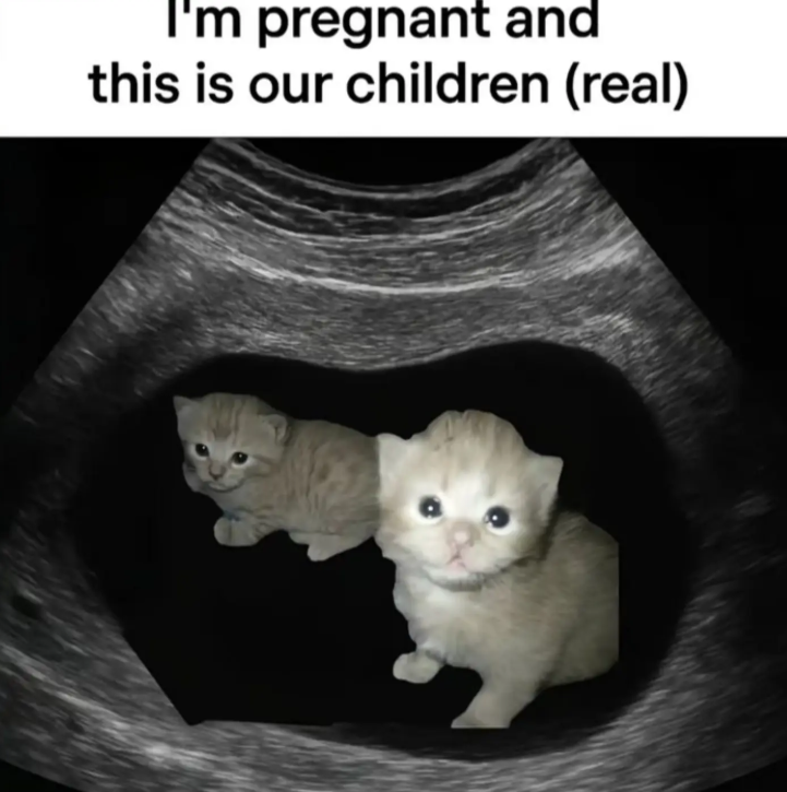 I'm pregnant and this is our children (real)