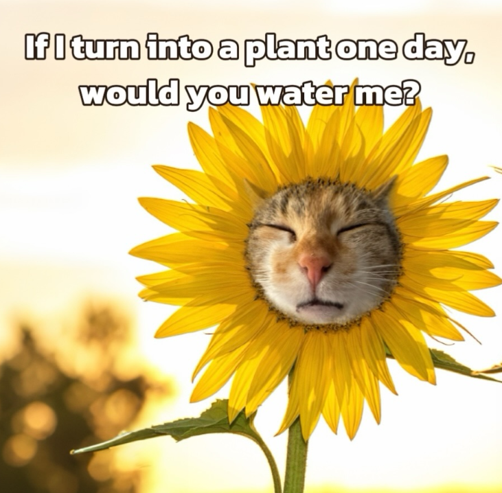 If I turn into a plant one day, would you water me?