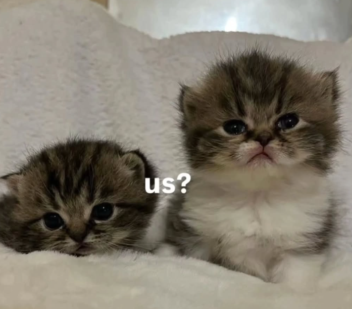 us?