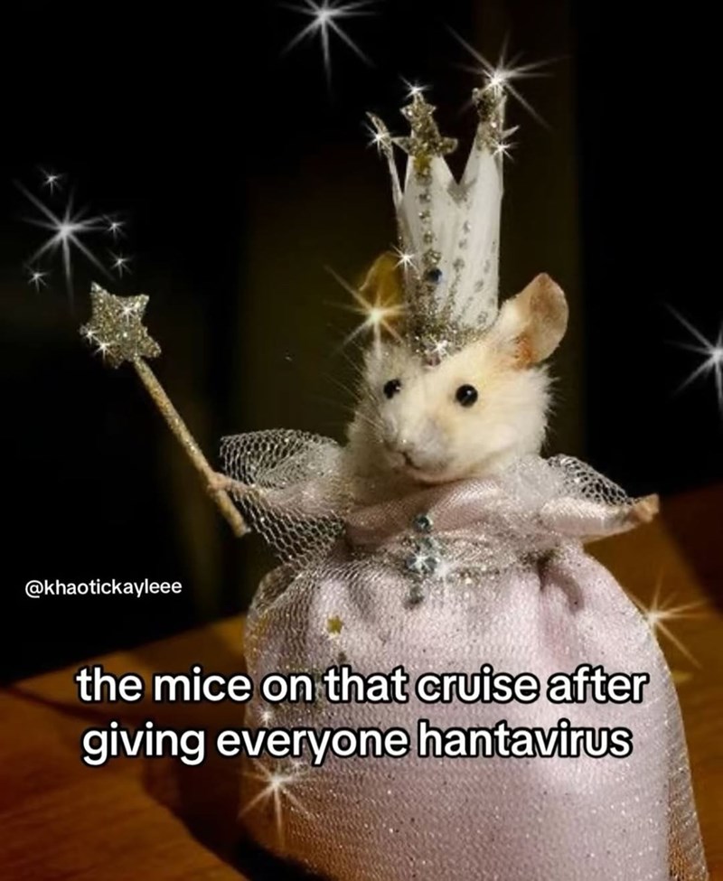 @khaotickayleee the mice on that cruise after giving everyone hantavirus