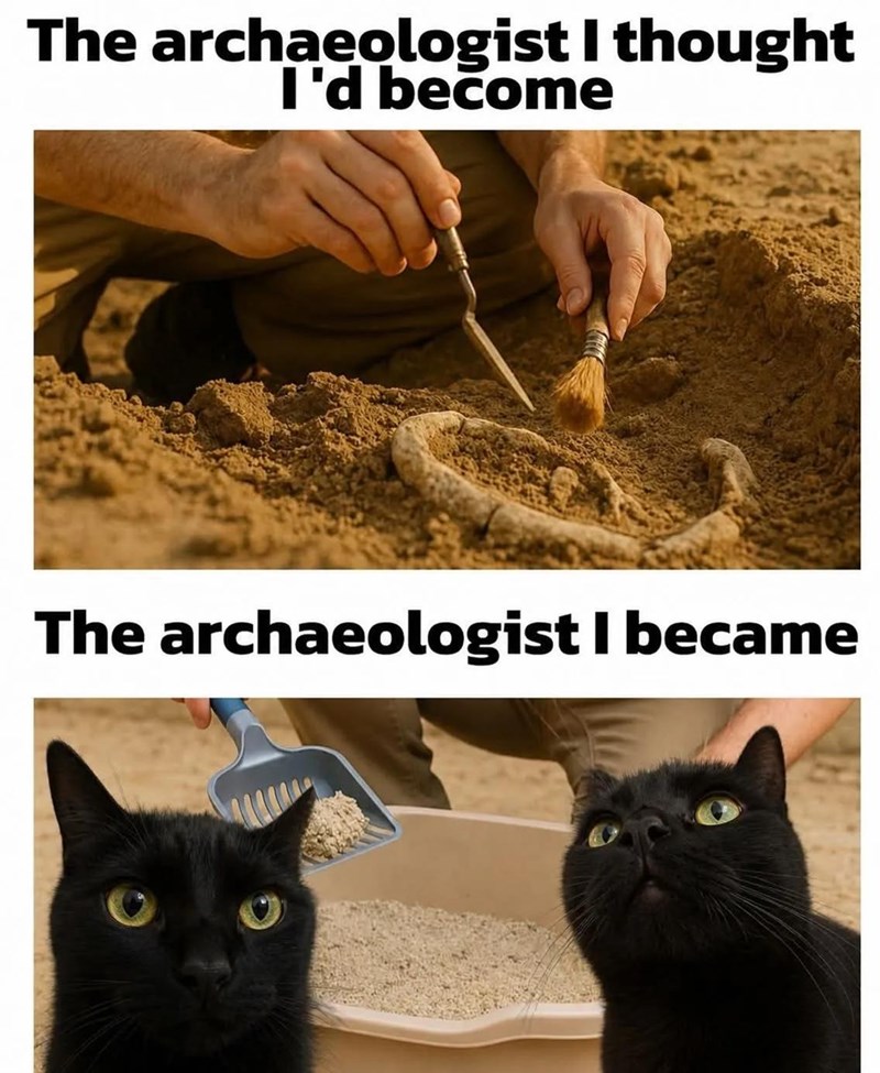 The archaeologist I thought I'd become The archaeologist I became