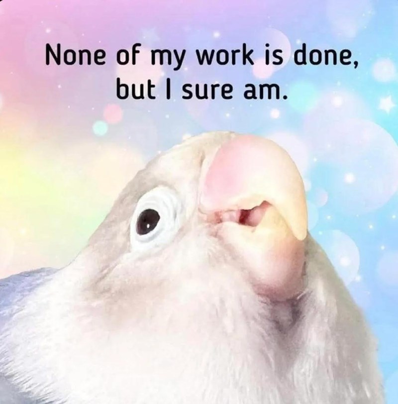 None of my work is done, but I sure am.