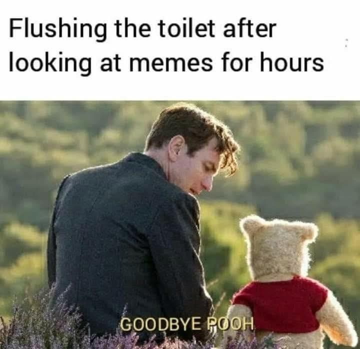Flushing the toilet after looking at memes for hours GOODBYE POOH