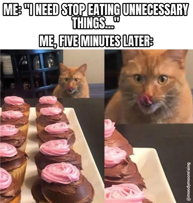 ME: "I NEED STOP EATING UNNECESSARY THINGS... ME, FIVE MINUTES LATER @moodymoonrising