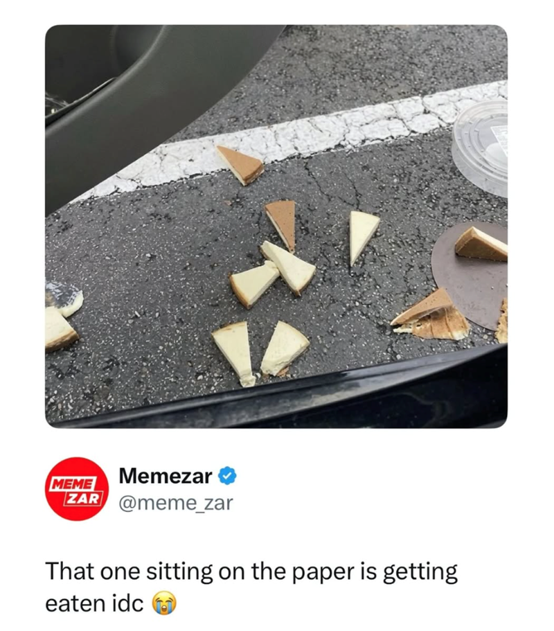 MEME Memezar ZAR @meme_zar That one sitting on the paper is getting eaten idc