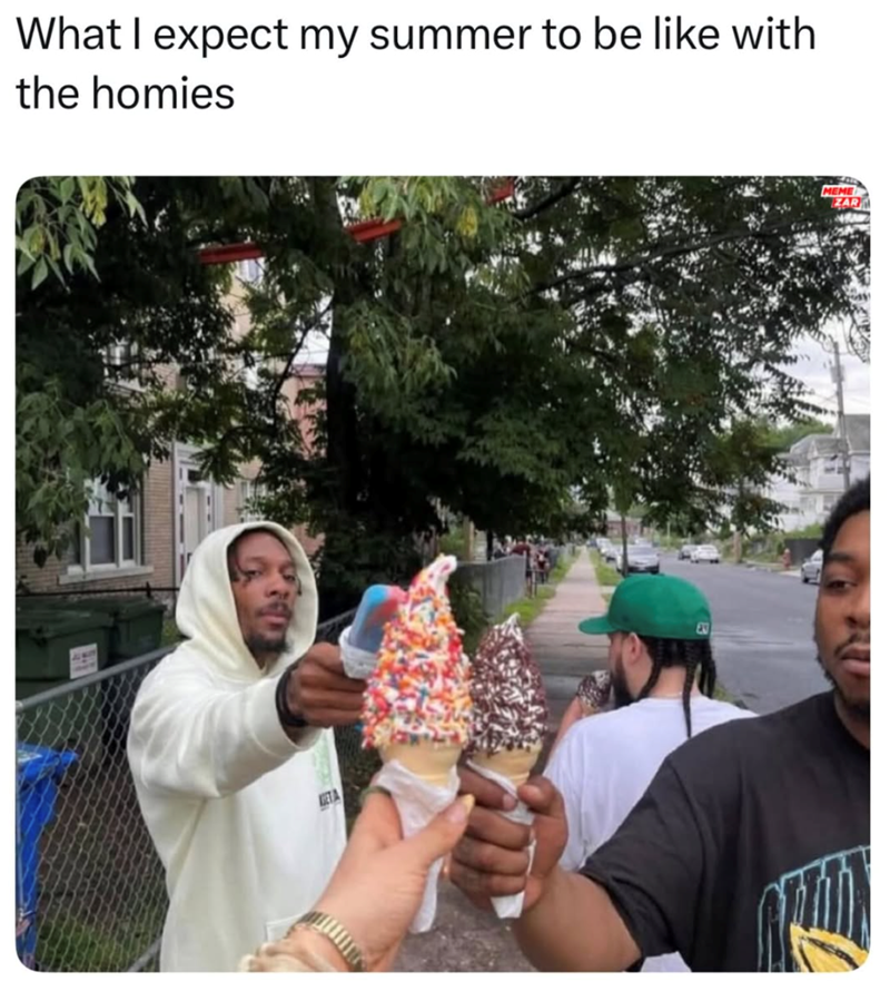 What I expect my summer to be like with the homies MEME