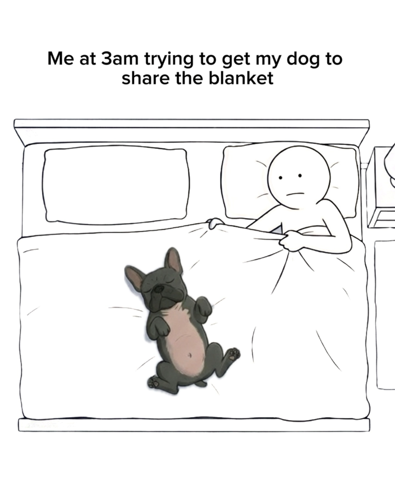 Me at 3am trying to get my dog to share the blanket