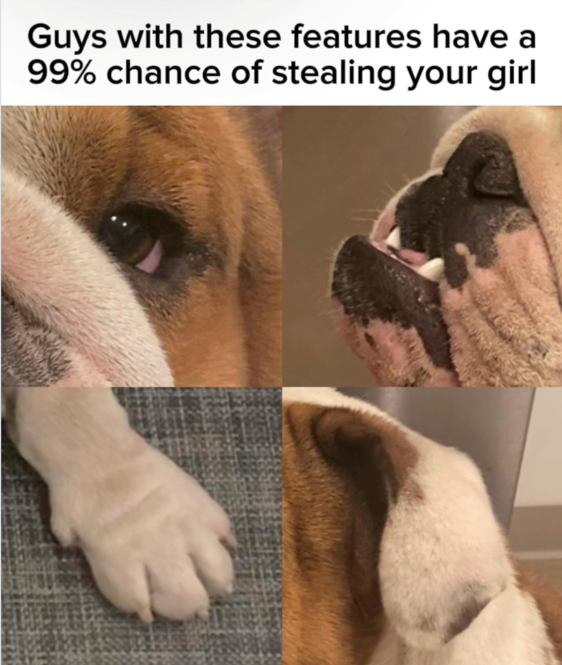 Guys with these features have a 99% chance of stealing your girl