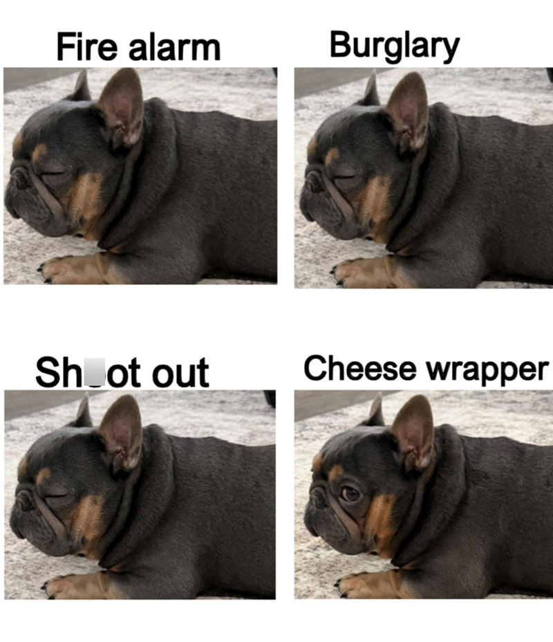 Fire alarm Burglary Shoot out Cheese wrapper
