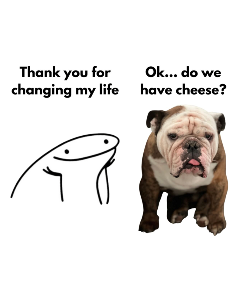 Thank you for changing my life Ok... do we have cheese?
