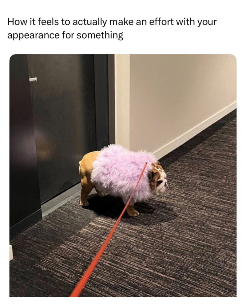 How it feels to actually make an effort with your appearance for something