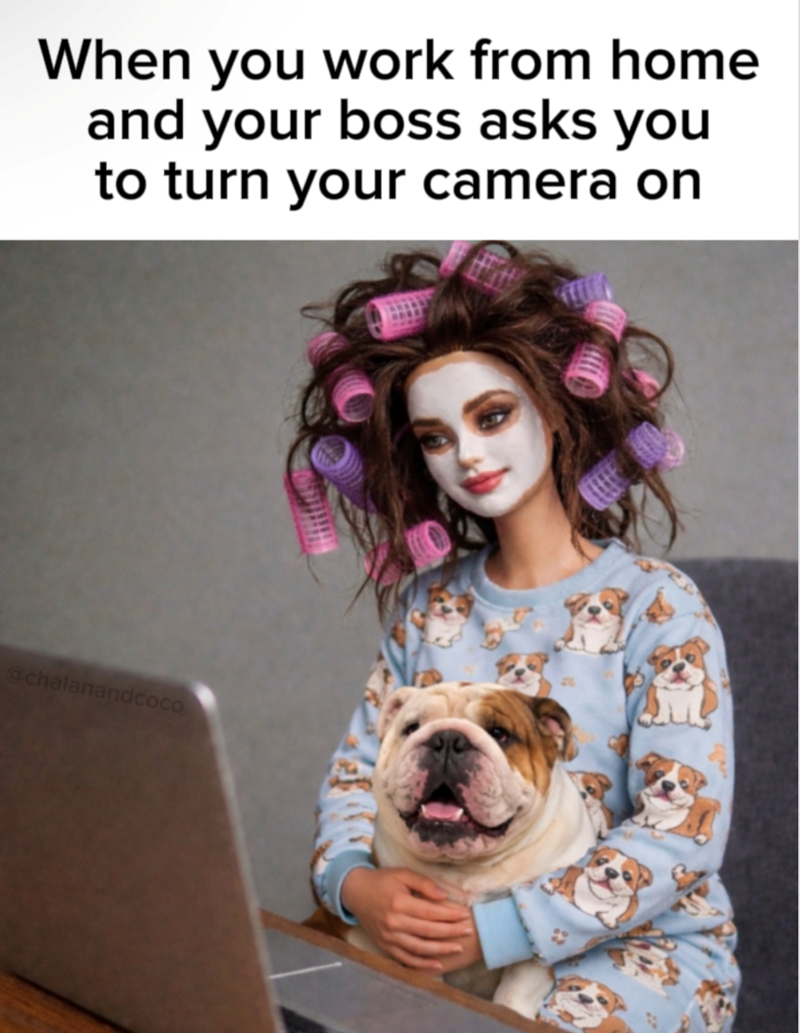 When you work from home and your boss asks you to turn your camera on @chalanandcoco