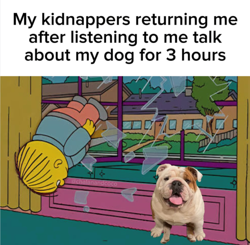 My kidnappers returning me after listening to me talk about my dog for 3 hours @chalanandcoco