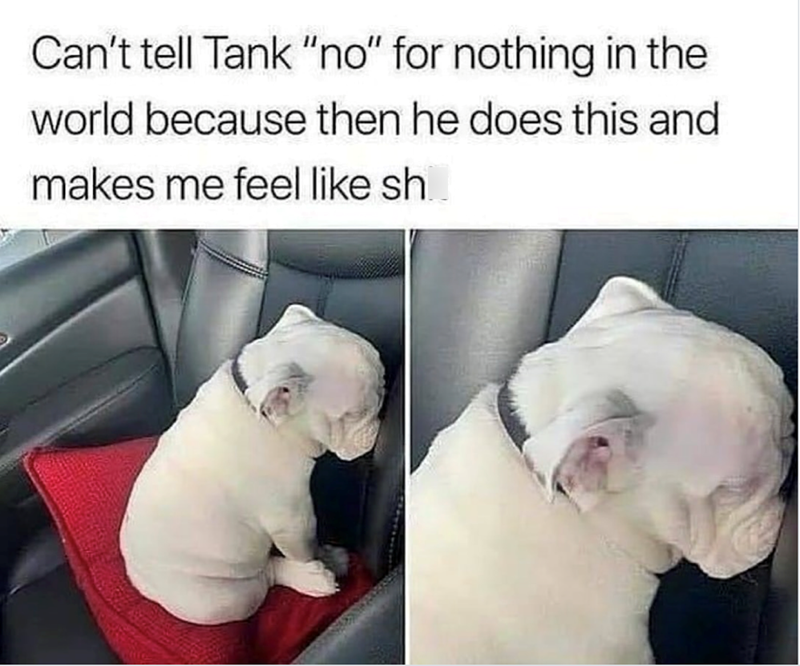 Can't tell Tank "no" for nothing in the world because then he does this and makes me feel like sh