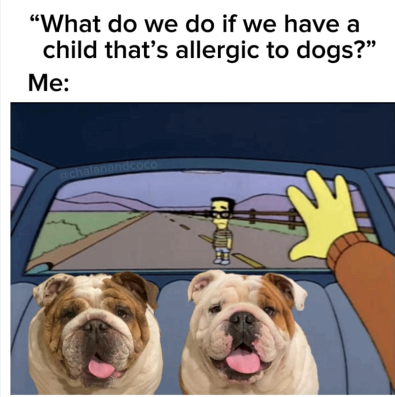 "What do we do if we have a child that's allergic to dogs?" Me: @chalanandcoco 田