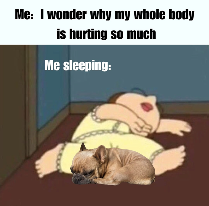Me: I wonder why my whole body is hurting so much Me sleeping: