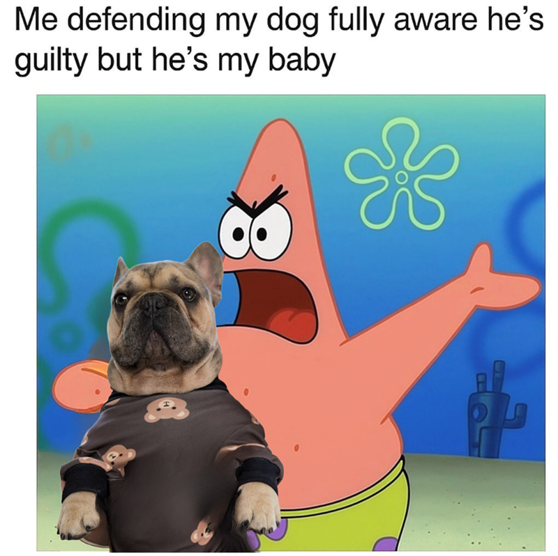 Me defending my dog fully aware he's guilty but he's my baby