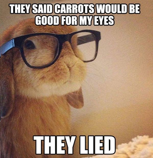 THEY SAID CARROTS WOULD BE GOOD FOR MY EYES THEY LIED