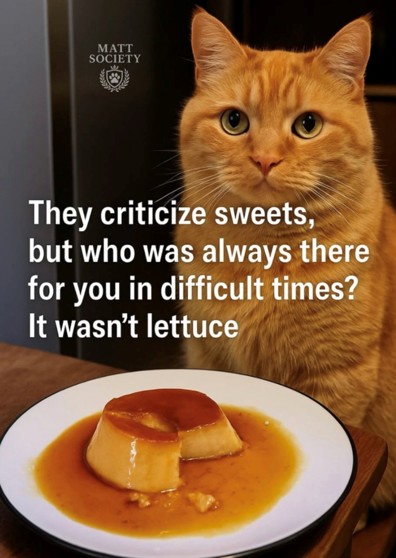 MATT SOCIETY They criticize sweets, but who was always there for you in difficult times? It wasn't lettuce