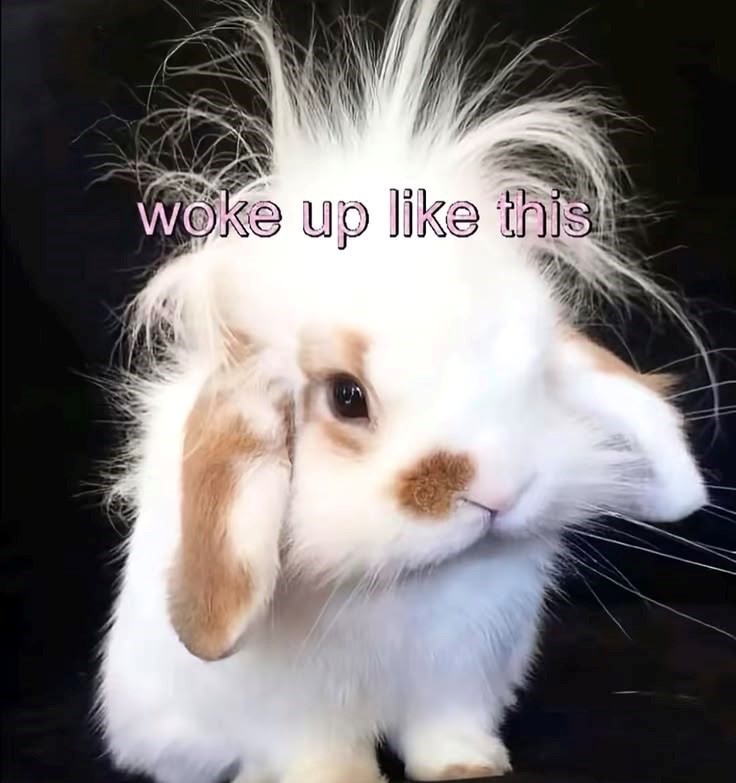 woke up like this
