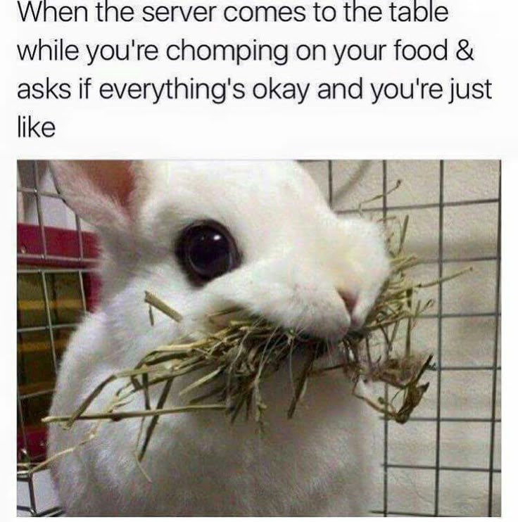 When the server comes to the table while you're chomping on your food & asks if everything's okay and you're just like