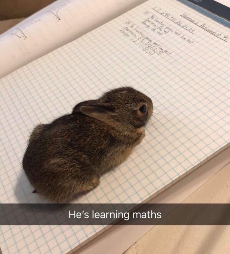 Home Assigement 1.3.0.49.-17.20.24.29 12V find payes work line test Domain ES-303-3 Fett test Cange 104) He's learning maths