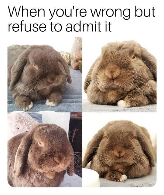 When you're wrong but refuse to admit it