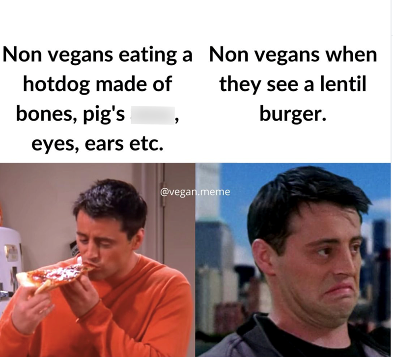 Non vegans eating a Non vegans when hotdog made of bones, pig's eyes, ears etc. they see a lentil burger. @vegan.meme