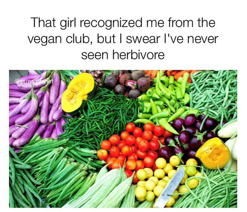 That girl recognized me from the vegan club, but I swear I've never seen herbivore @puns planet