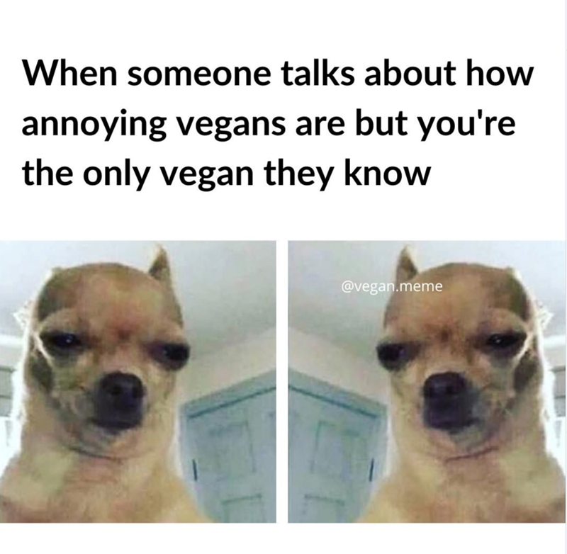 When someone talks about how annoying vegans are but you're the only vegan they know @vegan.meme