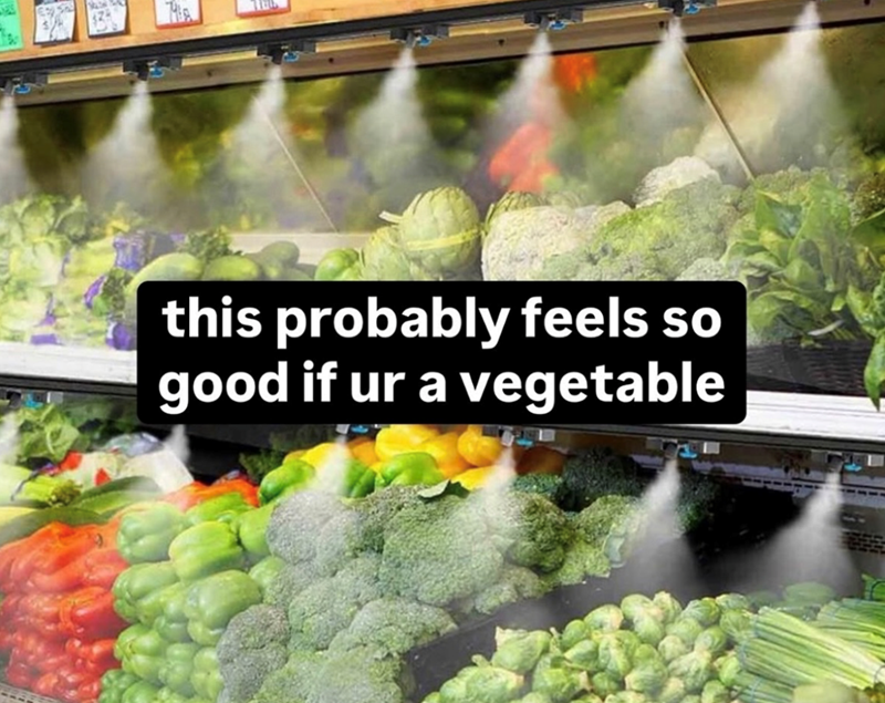 this probably feels so good if ur a vegetable