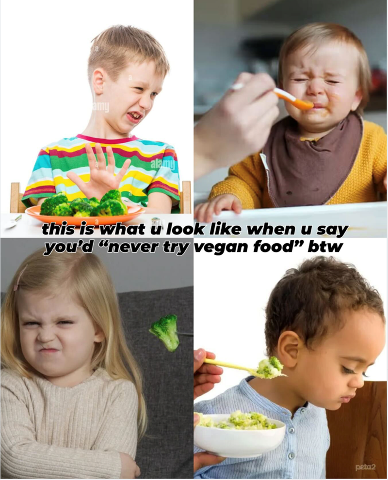 amy alamy this is what u look like when u say you'd "never try vegan food" btw peta2