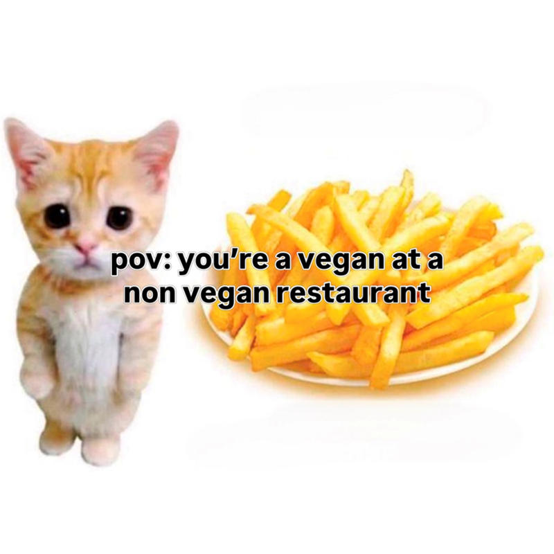 pov: you're a vegan at a non vegan restaurant