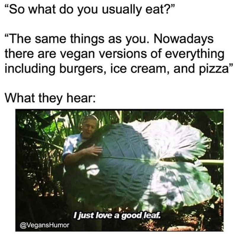 "So what do you usually eat?" "The same things as you. Nowadays there are vegan versions of everything including burgers, ice cream, and pizza" What they hear: I just love a good leaf. @VegansHumor