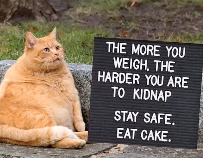 THE MORE YOU WEIGH, THE HARDER YOU ARE TO KIDNAP STAY SAFE. EAT CAKE.