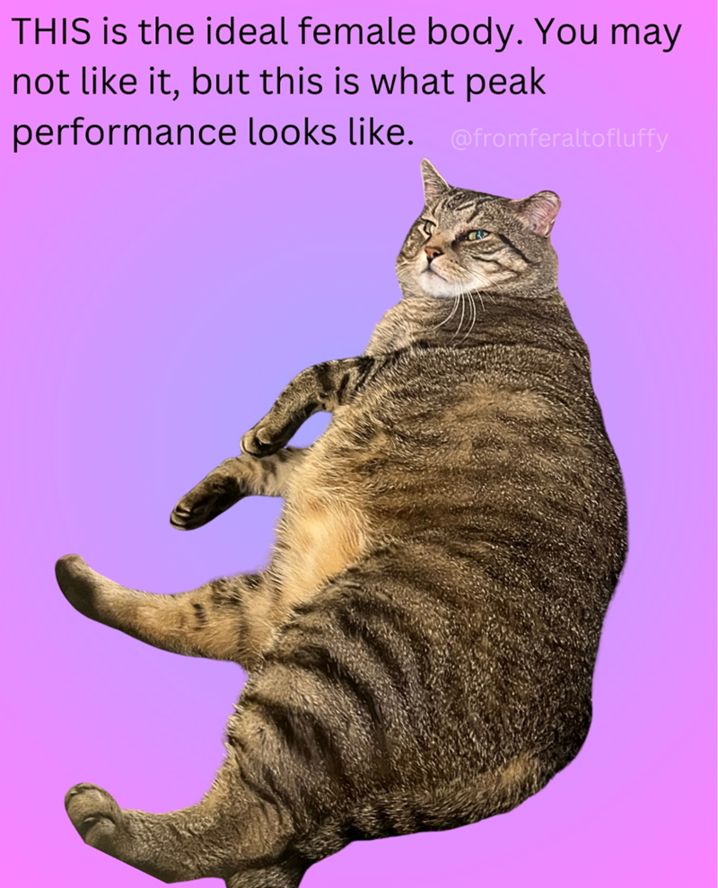 THIS is the ideal female body. You may not like it, but this is what peak performance looks like. @fromferaltofluffy